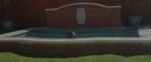 Bakgat Pools